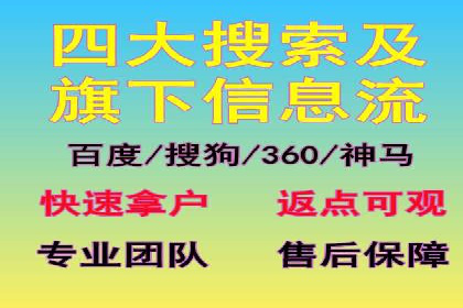 某电商平台的SEM关键词策略及成效分析
