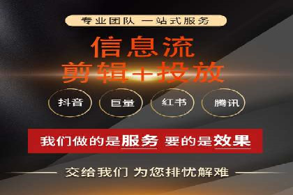 信息流广告的精准定位与效果优化案例分析